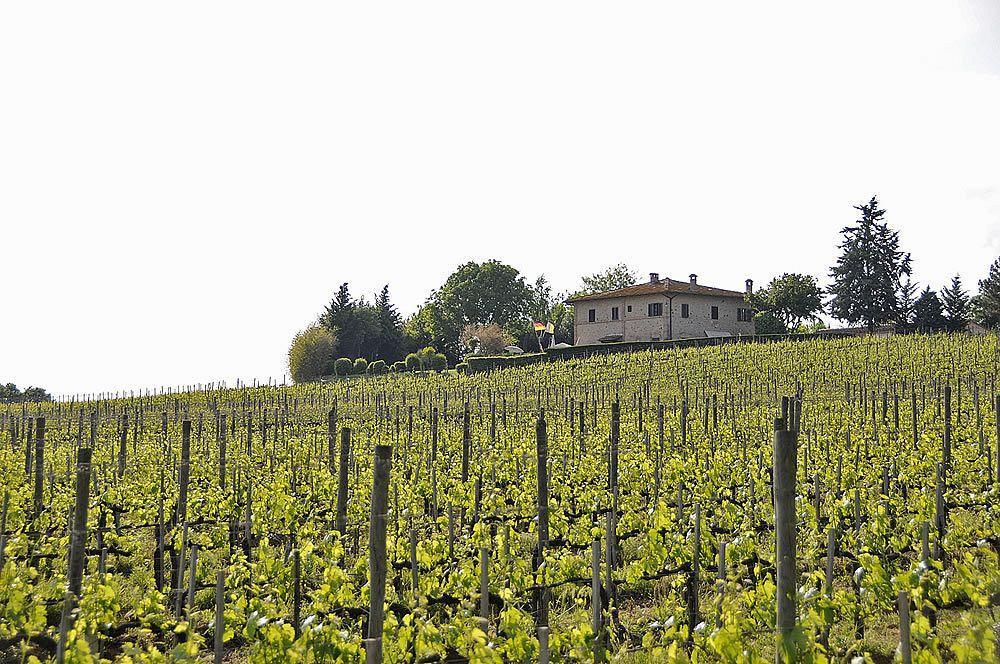 Il Colombaio, Siena -Appartamenti e Camere- Isola d'Arbia Esterno foto
