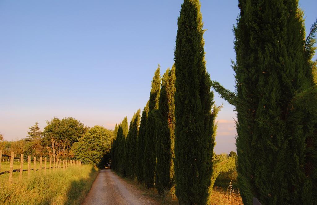 Il Colombaio, Siena -Appartamenti e Camere- Isola d'Arbia Esterno foto