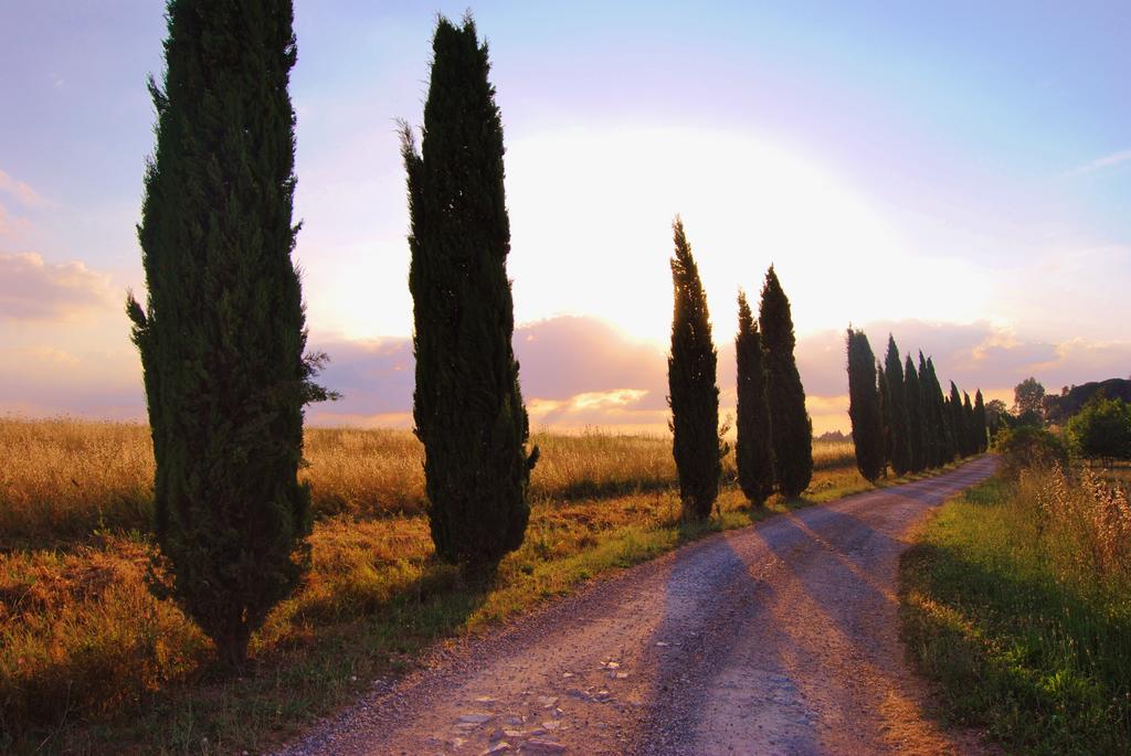 Il Colombaio, Siena -Appartamenti e Camere- Isola d'Arbia Esterno foto